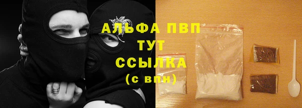 СК Богородицк