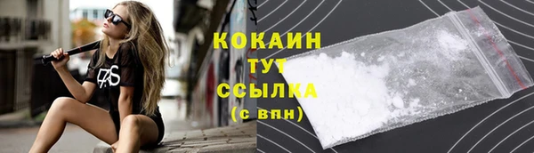 гашик Белокуриха