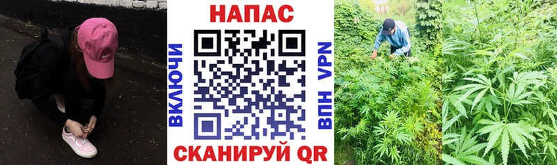 ссылка на мегу рабочий сайт  Весьегонск  Шишки марихуана Bruce Banner 